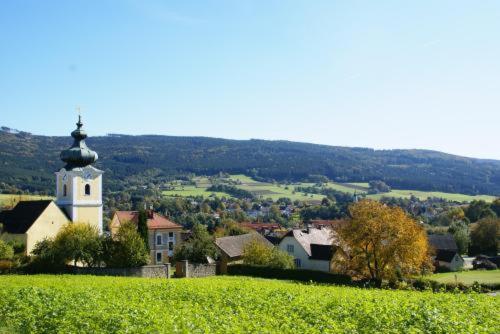 Fruhstuckspension Zur Blauen Traube Yspertal Екстер'єр фото
