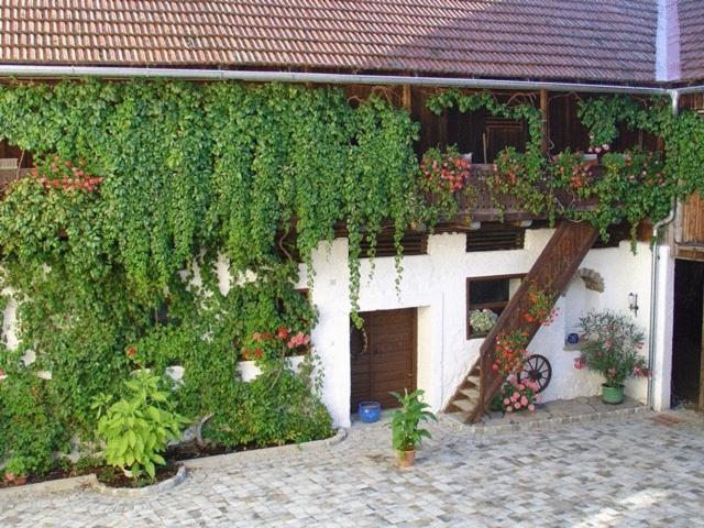Fruhstuckspension Zur Blauen Traube Yspertal Екстер'єр фото